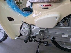 �z���_Super Cub 110 Lite�i���Q�����R�s�j�摜13