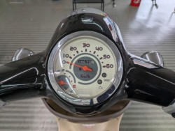 �z���_�W�����m�i���Q�����R�s�j�摜11