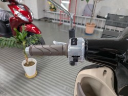 �z���_�W�����m�i���Q�����R�s�j�摜12