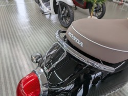 �z���_�W�����m�i���Q�����R�s�j�摜17