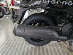 �z���_�W�����m�i���Q�����R�s�j�摜18