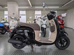 �z���_�W�����m�i���Q�����R�s�j�摜1