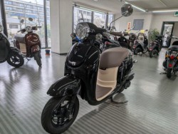 �z���_�W�����m�i���Q�����R�s�j�摜4