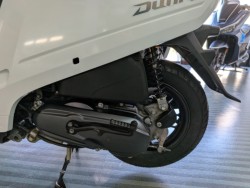 �z���_Dunk�i���Q�����R�s�j�摜20