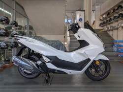 �z���_PCX�i���Q�����R�s�j�摜1