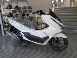 �z���_PCX�i���Q�����R�s�j�摜2