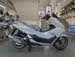 �z���_PCX�i���Q�����R�s�j�摜1
