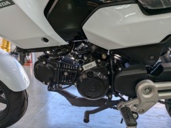 �z���_�O�����i���Q�����R�s�j�摜19