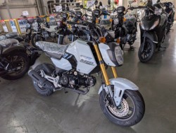 �z���_�O�����i���Q�����R�s�j�摜2