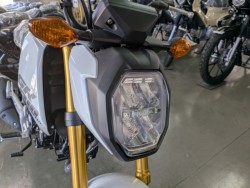 �z���_�O�����i���Q�����R�s�j�摜9