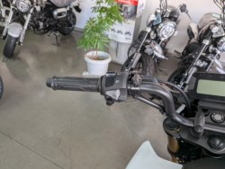 �z���_�O�����i���Q�����R�s�j�摜12