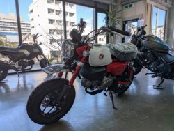 �z���_�����L�[125�i���Q�����R�s�j�摜4