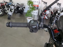 �z���_�N���X�J�u110�i���Q�����R�s�j�摜12