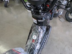 �z���_�N���X�J�u110�i���Q�����R�s�j�摜14