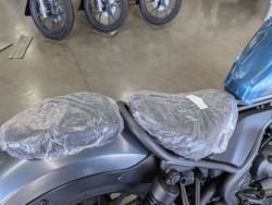 �z���_���u��250�i���Q�����R�s�j�摜15