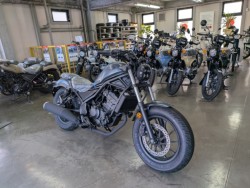 �z���_���u��250�i���Q�����R�s�j�摜2