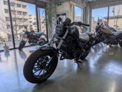 �z���_���u��250�i���Q�����R�s�j�摜4