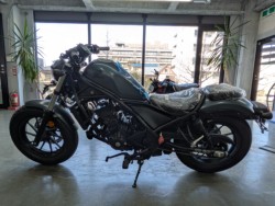 �z���_���u��250�i���Q�����R�s�j�摜5