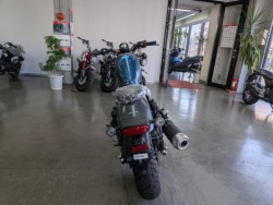 �z���_���u��250�i���Q�����R�s�j�摜7