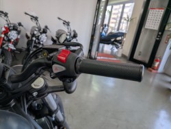 �z���_���u��250�i���Q�����R�s�j�摜13