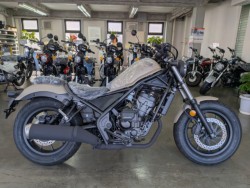 �z���_���u��250�i���Q�����R�s�j�摜1