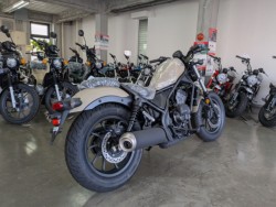 �z���_���u��250�i���Q�����R�s�j�摜8