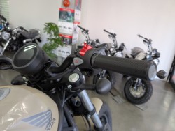 �z���_���u��250�i���Q�����R�s�j�摜13