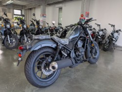 �z���_���u��250�i���Q�����R�s�j�摜8