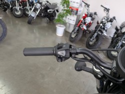 �z���_���u��250�i���Q�����R�s�j�摜12