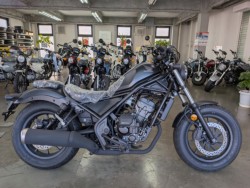 �z���_���u��250�i���Q�����R�s�j�摜1