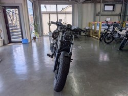 �z���_���u��250�i���Q�����R�s�j�摜3