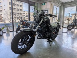 �z���_���u��250�i���Q�����R�s�j�摜4