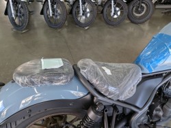 �z���_���u��250�i���Q�����R�s�j�摜15