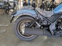 �z���_���u��250�i���Q�����R�s�j�摜17