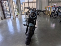 �z���_���u��250�i���Q�����R�s�j�摜3