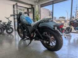 �z���_���u��250�i���Q�����R�s�j�摜6