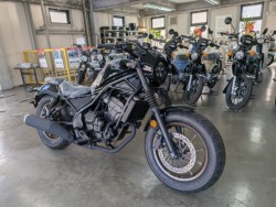 ホンダレブル250(愛媛県松山市)画像2