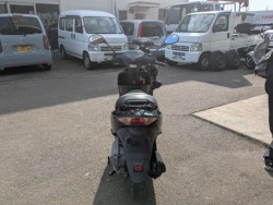 �z���_�f�B�I�i���Q�������s�j�摜5