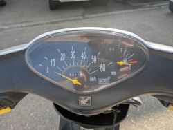 �z���_�f�B�I�i���Q�������s�j�摜10