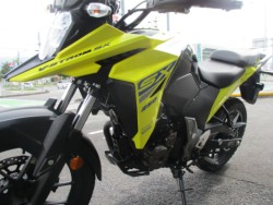 XYLVXg[250SXiQFaS쒬j摜4