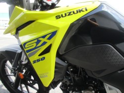 XYLVXg[250SXiQFaS쒬j摜10