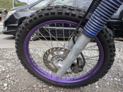 }nTT250RiQkFaSSkj摜13