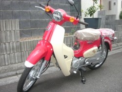 �z���_�X�[�p�[�J�u50�i���Q���ɗ\�s�j�摜2