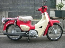 �z���_�X�[�p�[�J�u50�i���Q���ɗ\�s�j�摜6