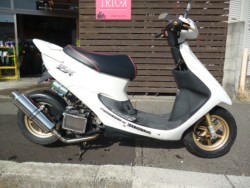 �z���_�f�B�I�i���Q�����R�s�j�摜1