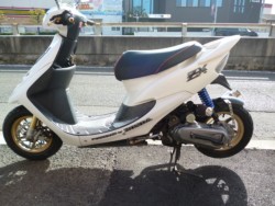 �z���_�f�B�I�i���Q�����R�s�j�摜2