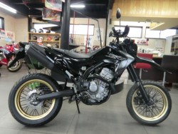 z_CRF250MiQRsj摜2