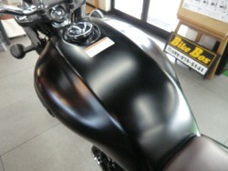 z_GB350iQRsj摜14