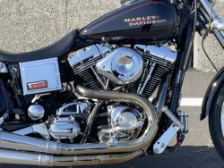 �n�[���[�n�[���[�_�r�b�h�\��FXDL�i���Q���ɗ\�s�j�摜4