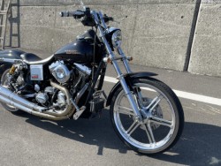 �n�[���[�n�[���[�_�r�b�h�\��FXDL�i���Q���ɗ\�s�j�摜7